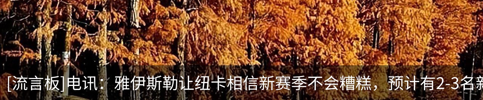 资讯动态